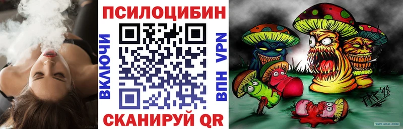 Купить где  Щёлково  Псилоцибиновые грибы прущие грибы 